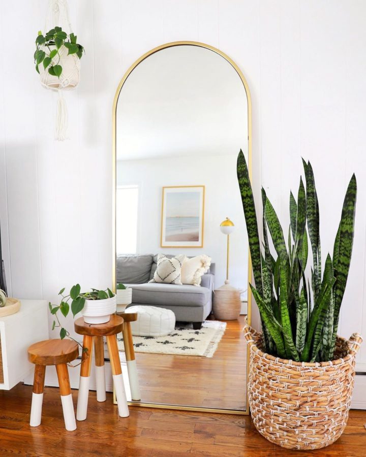 decor flat with plants