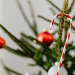 New Year 2026 Decoration Ideas For Your Home